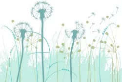 Stylized nature wallpaper dandelions and wall stickers