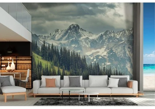 Wallpaper mountain landscape with snow and forest