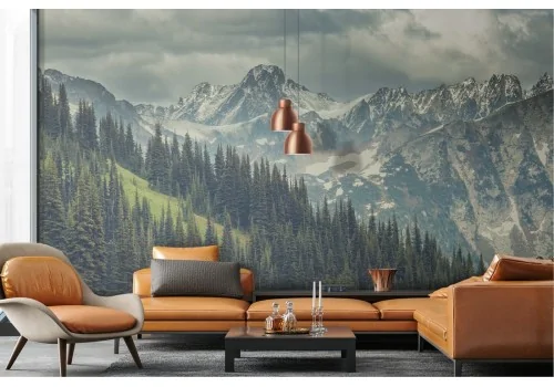 Wallpaper landscape mountain with snow and forest 2