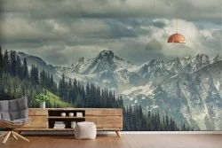 Wallpaper Forests and Trees Mountain Snow