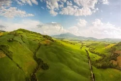 Wallpaper Flora and Fauna Landscapes and Nature Trees Meadows and Hills