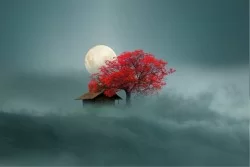 Carta da Parati Design e Stili Flora e Fauna Paesaggi e Natura Alberi Astratta Fantasy e Dark