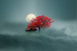 Wallpaper Designs and Styles Flora and Fauna Landscapes and Nature Trees Abstract Fantasy and Dark