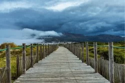 Carta da Parati Paesaggi e Natura Foreste e Alberi Montagna
