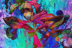 Carta da Parati Design e Stili Flora e Fauna Fiori Foglie Moderna Natura