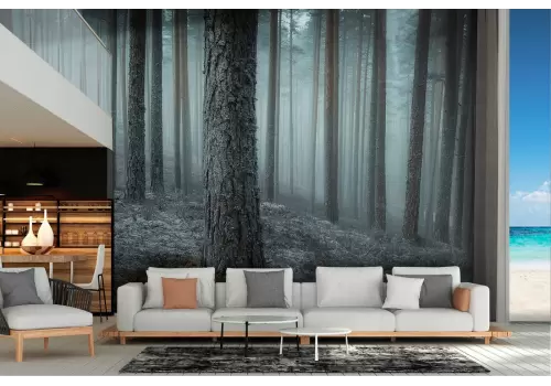 Carta da Parati paesaggio foresta dark