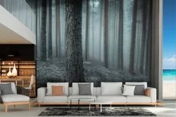 Dark Forest Landscape Wallpaper