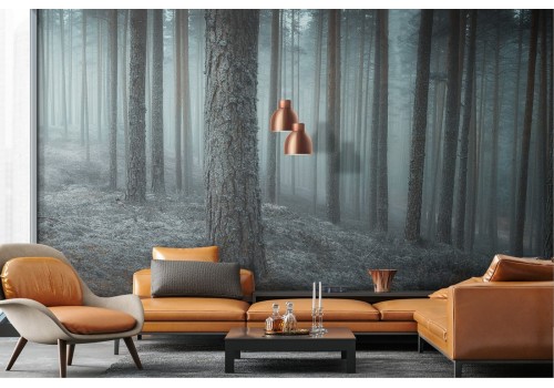 Dark Forest Landscape Wallpaper 2