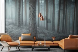 Carta da Parati paesaggio foresta dark