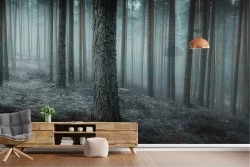 Fantasy Wallpaper and Dark Forests and Trees