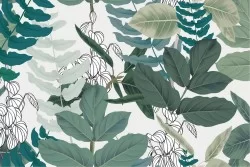 Carta da Parati Design e Stili Flora e Fauna Foglie Moderna Natura Tropicale