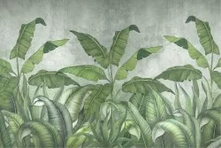 Carta da Parati Design e Stili Flora e Fauna Natura Tropicale Foglie