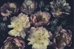 Wallpaper Design and Styles Flora and Fauna Flowers Nature Vintage