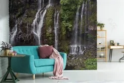 Wallpaper waterfall in the forest nature landscape