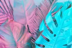 Wallpaper Design and Styles Modern Tropical Flora and Fauna Leaves