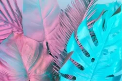 Wallpaper Design and Styles Modern Tropical Flora and Fauna Leaves