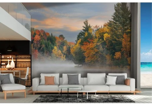 Wallpaper landscape forest with lake