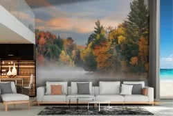 Carta da Parati paesaggio bosco con lago