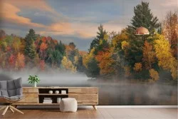 Wallpaper landscape forest with lake