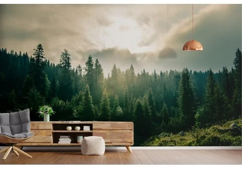 Wallpaper landscape forest in the mountain 2