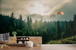 Wallpaper landscape forest in the mountain