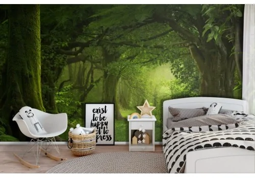 Green forest landscape wallpaper 2