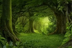 Wallpaper Flora and Fauna Landscapes and Nature Fantasy Trees Landscapes