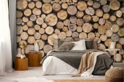 Carta da Parati superficie legno tagliato