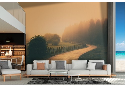 Wallpaper road in the forest landscape