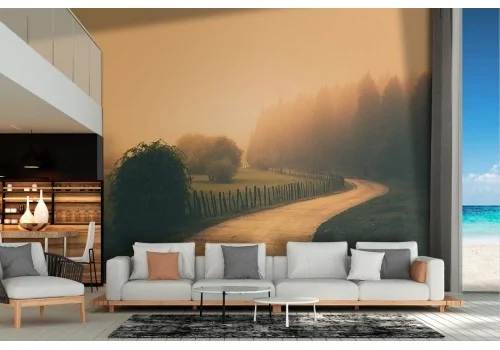 Wallpaper road in the forest landscape