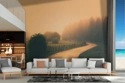 Wallpaper road in the forest landscape