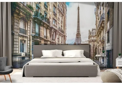 Carta da Parati città Parigi torre Eiffel paesaggio 2