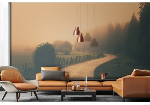 Wallpaper road in the forest landscape 2