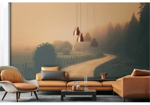 Wallpaper road in the forest landscape 2