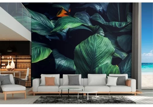 Carta da Parati foglie tropicali verdi natura