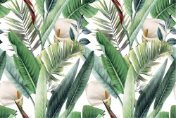 Wallpaper Design and Styles Flora and Fauna Leaves Luxury Tropical Nature