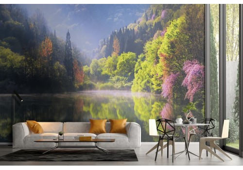 Wallpaper landscape forest with lake