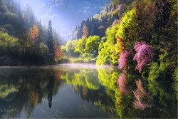 Wallpaper Landscapes and Nature Flora and Fauna Rivers Waterfalls Lakes Forests and Trees