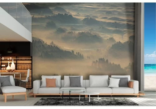 Carta da Parati paesaggio foresta alberi natura