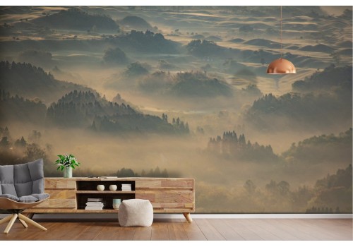 Wallpaper landscape forest trees nature 2