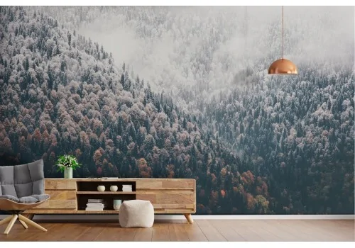 Wallpaper landscape forest in mountain526