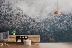 Wallpaper landscape forest in the mountain