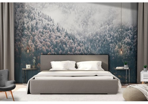 Wallpaper landscape forest in the mountain 2