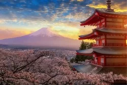 Wallpaper Flora and Fauna Landscapes and Nature Flowers Forests and Trees Eastern and Zen Mountain