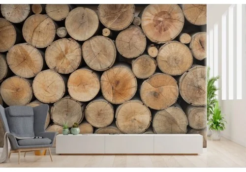 Cut Wood Surface Wallpaper 551