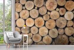 Modern Nature Wood Wallpaper