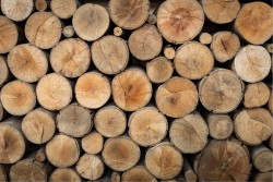 Wallpaper Design and Styles Surfaces and Textures Modern Nature Wood