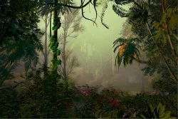 Carta da Parati Flora e Fauna Paesaggi e Natura Foglie Foreste e Alberi Tropicale