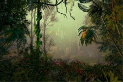 Wallpaper Flora and Fauna Landscapes and Nature Leaves Forests and Trees Tropical