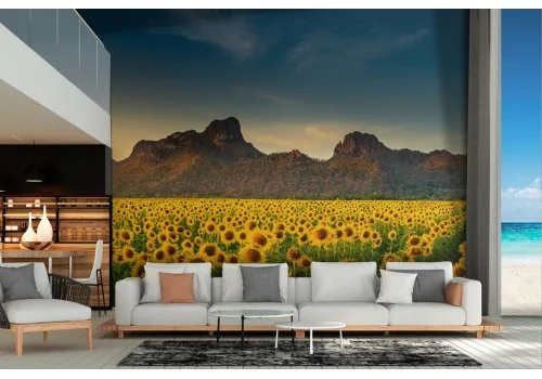 Sunflower field landscape wallpaper